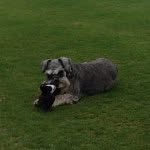 Sue Coates - @suecoates10 - Instagram
