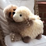 Sue Coates Norton - @suejcoates - Instagram