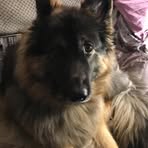 Sue Coats - Facebook