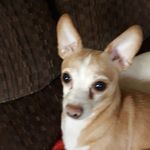 Sue Cody - @suecody22 - Instagram