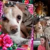 suecody437 - @suecody437 - TikTok