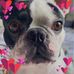 Sue Coe - Facebook