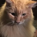 Sue L.Coffin - @sue.coffin - Instagram