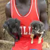 COMERESCUE - @comeresue - TikTok