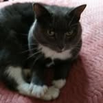 Susan Comerford - @suecomerford39 - Instagram