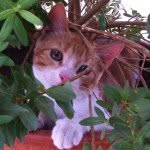 Sue Conner - @sue_conner_207 - Instagram