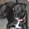 Sue Conner - @sue.conner - TikTok
