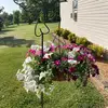 Sue Conner - @sue.conner2 - TikTok