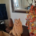 Sue Conner - @sueconner78 - Instagram