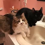 Sue Conner Karr - @sue.c.karr.3 - Instagram