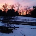 Sue Conrad - @conradsue - Instagram