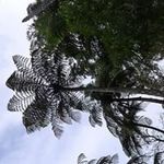 Sue Cooke - @cooke2595 - Instagram