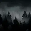 sue cooke - @sue.cooke20 - TikTok