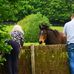 Sue Cooke Angus - Facebook