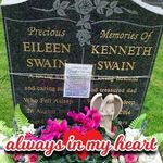 Sue Cornish - @sue.cornish.904 - Instagram