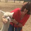 Sue Cornish - @sue.cornish2 - TikTok
