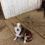 Sue Covert - @suecovert0 - Instagram