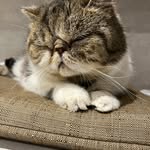 Sue Coy - @coy_susan - Instagram