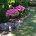 Sue Coy - Facebook