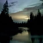 Sue Coy - @sue_wildmccoy - Instagram