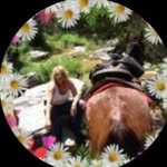 Karen Sue Crabb - @karensuecrabb - Instagram