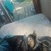 Sue Crabb - Facebook