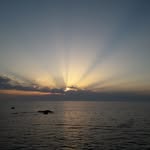 Sue Crabb - @sue.crabb.376 - Instagram