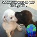 Nancy Sue Craft - Facebook