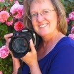 Sue Craft - @suecraftphotography - Instagram