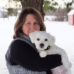 Sue Eldred-Craft Designer - @suescreativeworkshop - Instagram