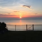 Sue Crane - @suecrane12 - Instagram