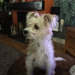 SueCrane - @suecrane49 - Instagram