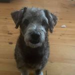 Sue Crocker - @sue.crocker - Instagram