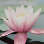 Sue Crocker - @crocker9269 - Instagram