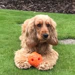 Sue Crocker - @littlenanny281 - Instagram