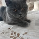 suecrocker - @suecrocker95 - Instagram
