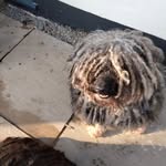 Sue Croft - @sue_m_croft - Instagram
