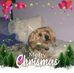 Sue Croft - Facebook
