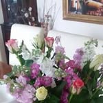 Sue Croft - @susancroft966 - Instagram