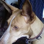 Sue Croft - @susana.croft.1 - Instagram