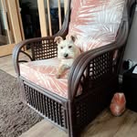 Sue Croft - @sue.croft.9400 - Instagram