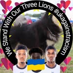 Sue Croft - @shopcat7 - Instagram