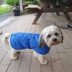 Sue Croft - @sue.croft.52 - Instagram