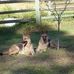 Sue Crofts - Facebook
