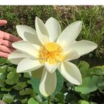 Susan Crossman - @suecrossman485 - Instagram
