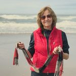 Sue Crowe - @suecrowe16 - Instagram