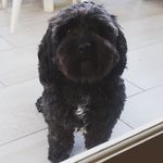 Sue Crowe - @suecrowe - Instagram