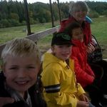 Sue Crowe - @sue.crowe.1044 - Instagram