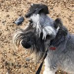 Sue Crowe - @suecrowe50 - Instagram