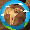 Sue Crowell - @sue.crowell5 - TikTok